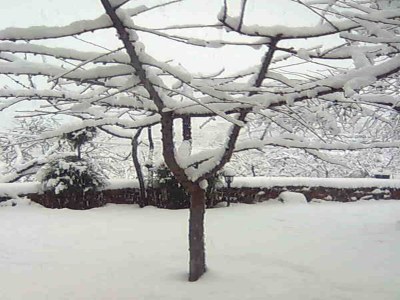 Holiday park Holiday Home in Laroya near centre - Outdoor photo 15