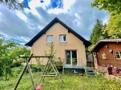 Holiday house Charmantes Ferienhaus mit Garten in Northern Alsace - Holiday house