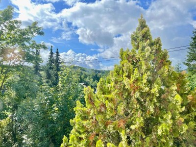 Holiday house Charmantes Ferienhaus mit Garten - Outdoor photo 11