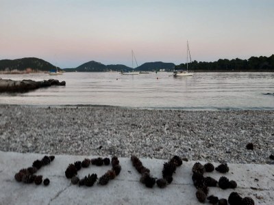 Apartment Mali Skoj Apartment - Two-Bedroom Apartment with Sea View - Outdoor photo 28