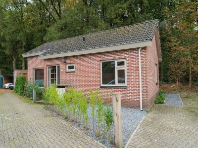Holiday house Beautiful holiday home in Ermelo with terrace - Outdoor photo 4