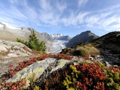 Chalet Elegantes Fieschertaler Alpenchalet für 8 - Environment photo 28