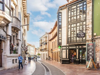 Apartment Apartment in Asturias near Playa de Torimbia - Environment photo 31
