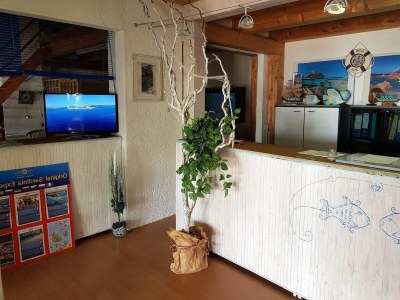 Apartment Wohnung in der Nähe von Golfo di Cugnana - Features photo 5