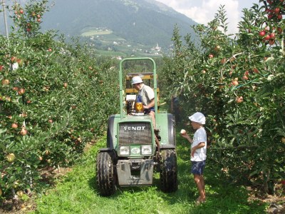 Holiday apartment Morning Sun - Outdoor photo 13
