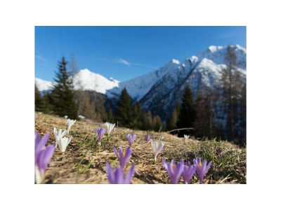 Holiday apartment Morning Sun - Environment photo 24