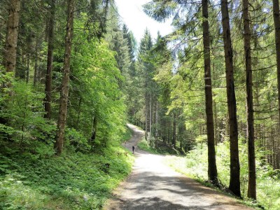 Holiday house Mountain Hideaway for Four - Environment photo 37