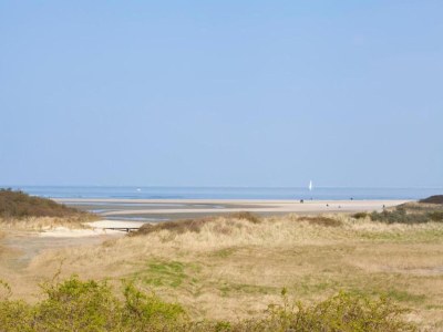 Holiday park Tiny House in Breskens nahe dem Strand - Environment photo 23