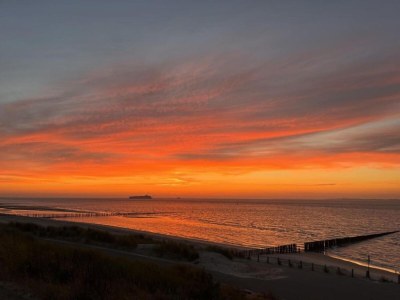 Holiday park Tiny House in Breskens nahe dem Strand - Environment photo 25