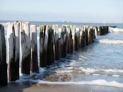 Holiday park Sonniges Zeeland-Refugium - Environment photo 15