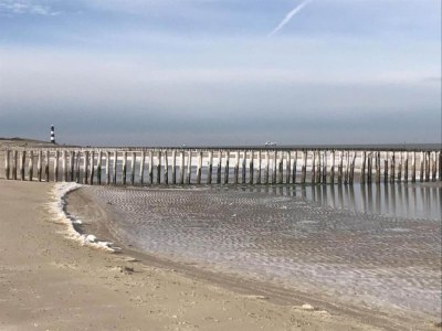 Holiday park Moderne Lodge am Wasser - Environment photo 27