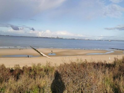 Holiday park Moderne Lodge am Wasser - Environment photo 30