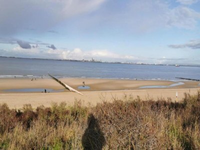 Holiday park Villa in Breskens near the Beach - Environment photo 10