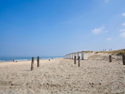 Holiday park Villa in Breskens near the Beach - Environment photo 11