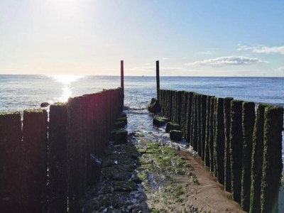 Holiday park Villa in Breskens near the Beach - Environment photo 26