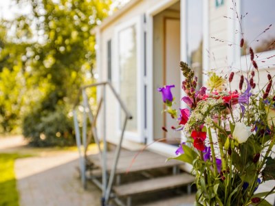 Holiday park Chalet by the Water in Leukermeer - Outdoor photo 31