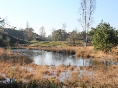 Holiday park Chalet in Leukermeer by the Waterside - Environment photo 23