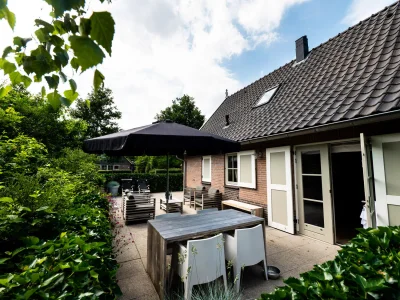 Holiday house Texel by the forest, beach, bathtub / jacuzzi 1 - Outdoor photo 4