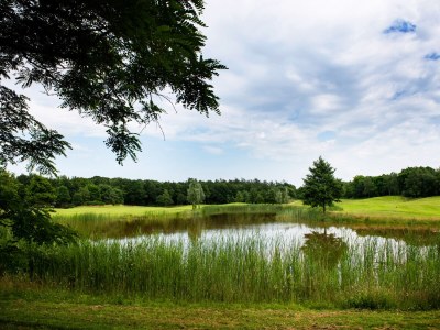 Holiday house Texel by the forest, beach, bathtub / jacuzzi 1 - Environment photo 20