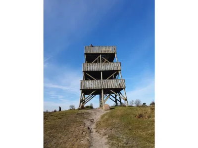 Holiday house Texel by the forest, beach, bathtub / jacuzzi 1 - Environment photo 24