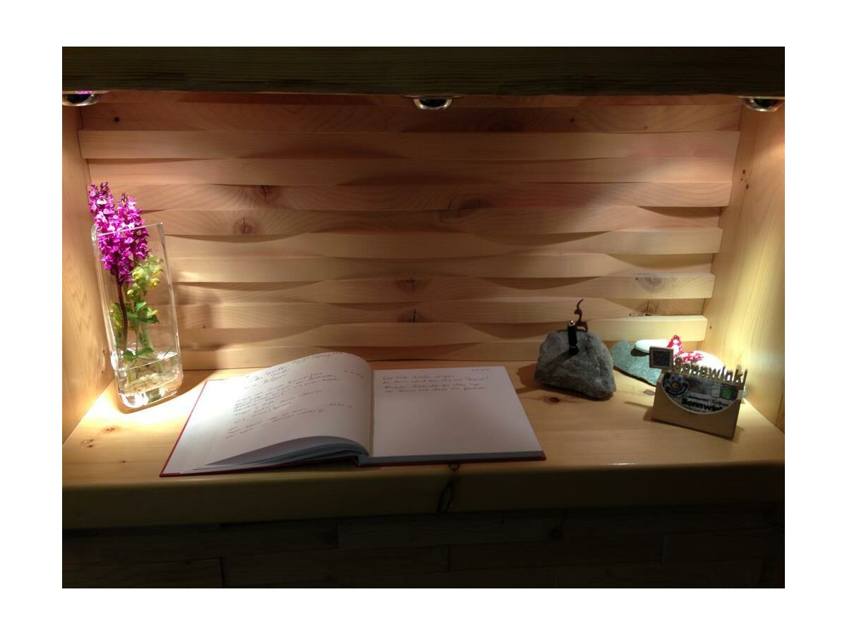 Apartment Wohnung Nr. 1  "Adlernest"