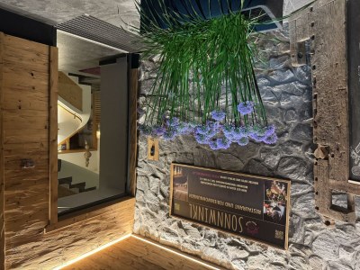 Apartment Wohnung Nr. 1  "Adlernest" - Outdoor photo 54