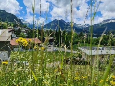 Apartment Appartement - 1 Schlafraum/DU/WC "1" - Outdoor photo 74