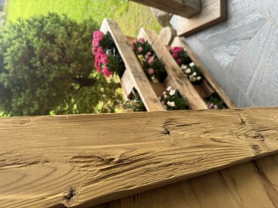 Apartment Wohnung Nr. 2  "Wildental" - Outdoor photo 14