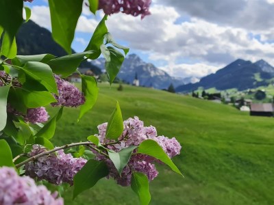 Apartment Appartment  Wohn/Schlafbereich/DU/WC "2" - Outdoor photo 7