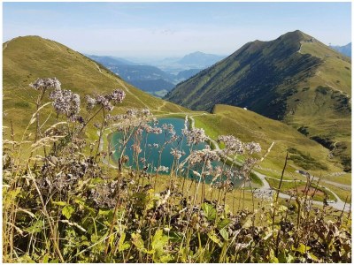 Apartment Appartment  Wohn/Schlafbereich/DU/WC "2" - Outdoor photo 25