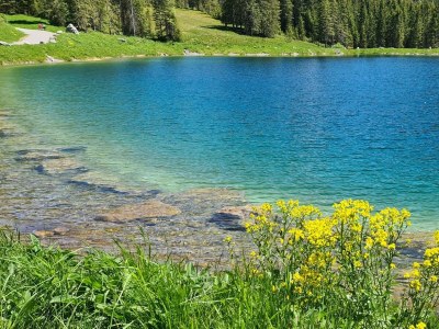 Apartment Appartment  Wohn/Schlafbereich/DU/WC "2" - Outdoor photo 82