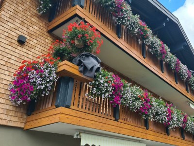 Apartment Appartment  Wohn/Schlafbereich/DU/WC "2" - Outdoor photo 85