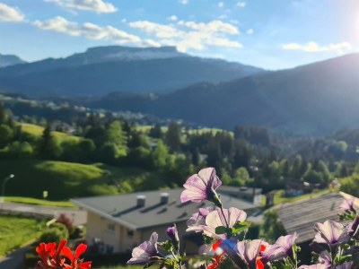 Apartment Appartment  Wohn/Schlafbereich/DU/WC "2" - Outdoor photo 96