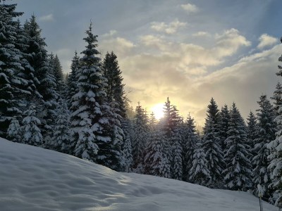 Apartment Appartment  Wohn/Schlafbereich/DU/WC "2" - Outdoor photo 103