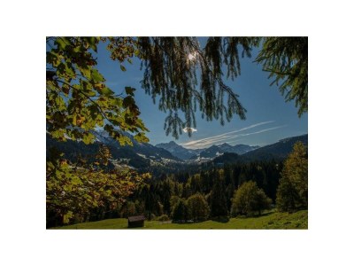 Apartment Ferienwohung "Alpenrose"- 1 Schlafraum - Outdoor photo 2