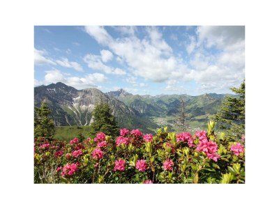 Apartment Ferienwohung "Alpenrose"- 1 Schlafraum - Outdoor photo 4