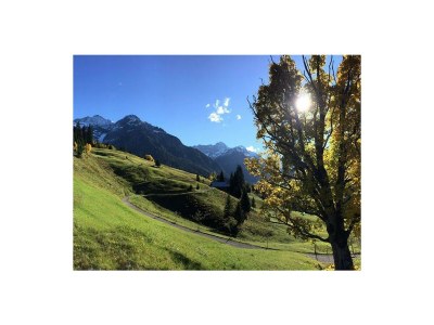 Apartment Ferienwohung "Alpenrose"- 1 Schlafraum - Outdoor photo 7