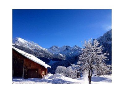 Apartment Ferienwohung "Alpenrose"- 1 Schlafraum - Outdoor photo 20