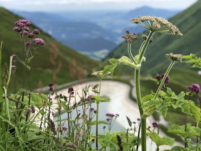 Apartment Appartement/Fewo, Dusche, WC, Wohn-/Schlafraum - Outdoor photo 6