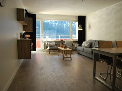 Apartment Appartement/Fewo, Dusche, WC, Wohn-/Schlafraum - Features photo 34