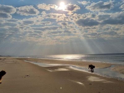 Holiday house 8 person holiday home in Saltum-By Traum - Outdoor photo 20