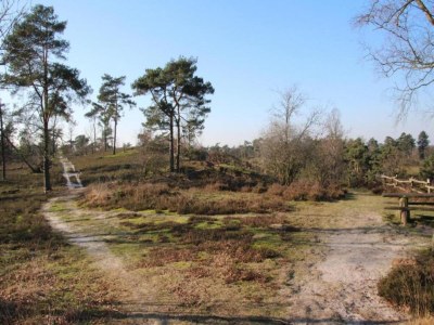 Holiday park Lodge by Rhine with Stunning Water Views - Environment photo 19