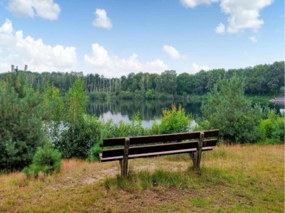 Holiday park Lodge by Rhine with Stunning Water Views - Environment photo 23