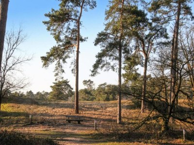 Holiday park Lodge by Rhine with Stunning Water Views - Environment photo 26