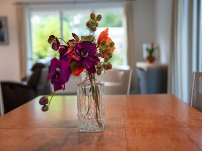 Holiday house Free holiday home with big garden - Outdoor photo 37