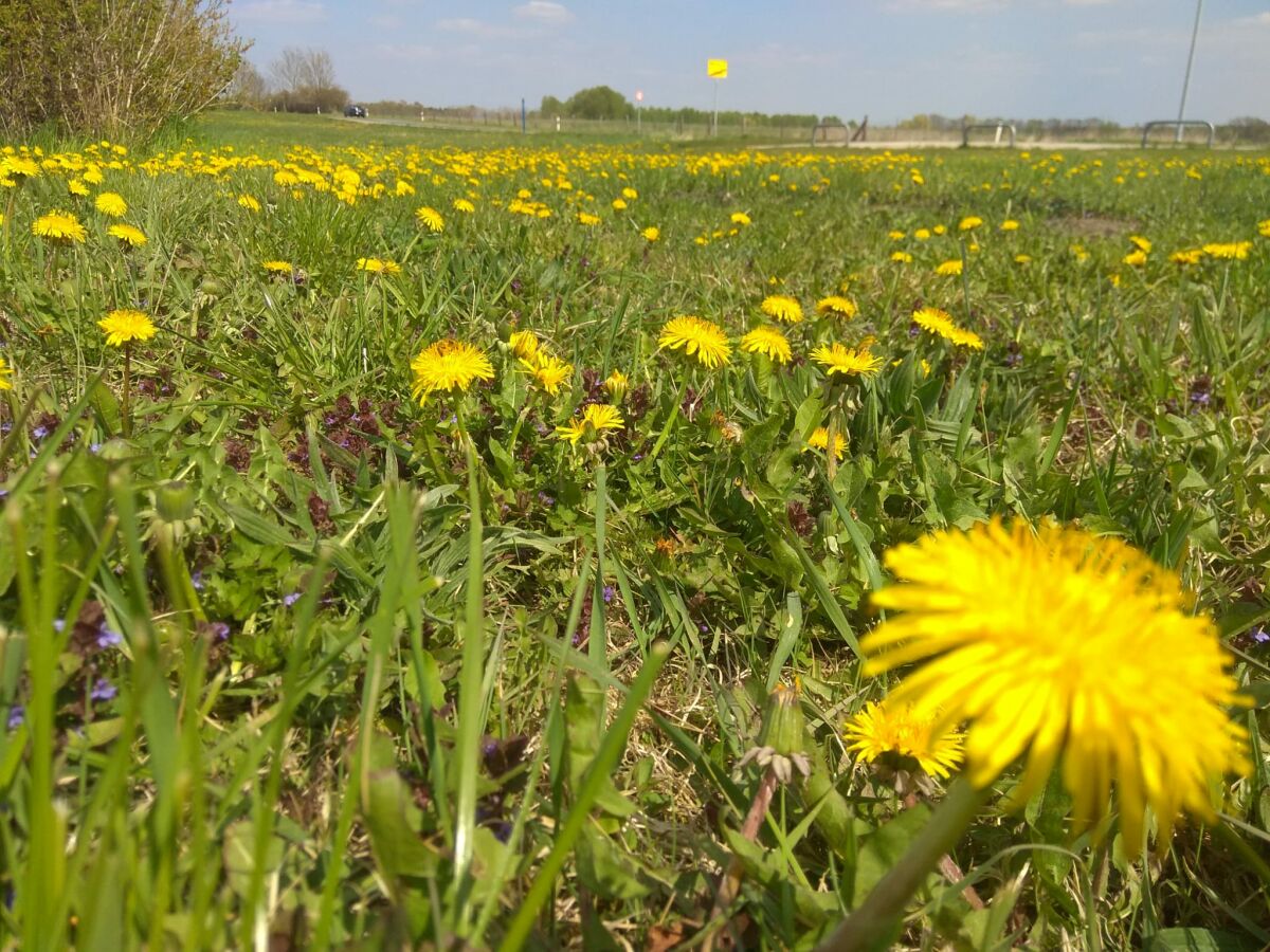 Holiday house No title - Outdoor photo 2