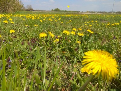 Holiday house No title - Outdoor photo 2