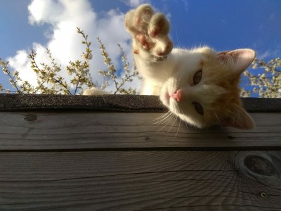 Holiday house No title - Outdoor photo 4