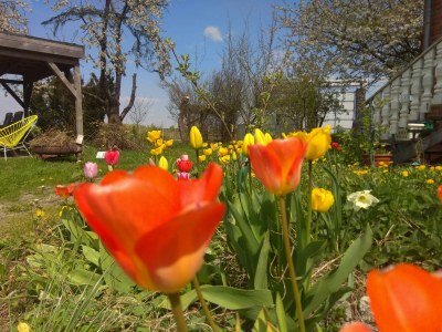 Holiday house No title - Outdoor photo 9