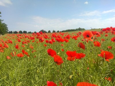 Holiday house No title - Environment photo 29